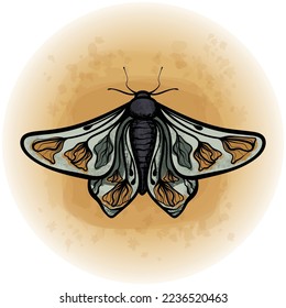 Boho Floral Butterfly Moth Insect Detailed Vector Illustration 14