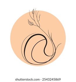 boho floral with circle background.vector illustration
