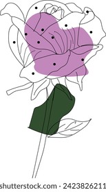 Boho Flower Line Art Vector Stock Photo