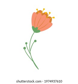 Boho flowers, clipart elements Valentine's day in boho style. Bohemian romantic
