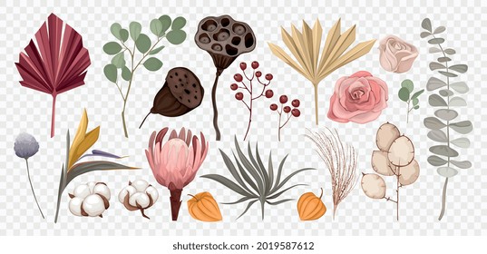 Flores de boho secas transparentes set con imágenes de hongos y flores coloridas bajo ilustración de vector de presión