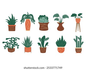 Boho House Plants Illustration Set 