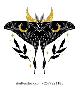 Boho illustration with moth, floral elements and moon. Black colors.