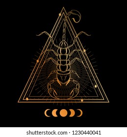 Boho illustration with scorpion. Tattoo art style. Decorative drawing in flash tattoo style.