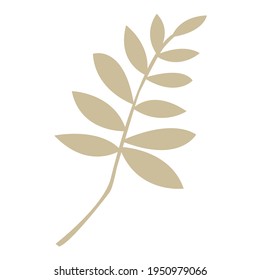 Boho leaves and branches isolated on white background