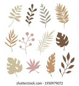 Boho leaves and branches isolated on white background