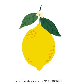 Vector de limón boho. Limón de frutas con flores, aislado