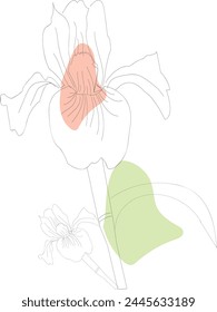 Boho Line Art Flower Face, Vector Stock Photo