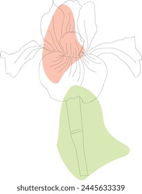 Boho Line Art Flower Face, Foto de stock de Vector