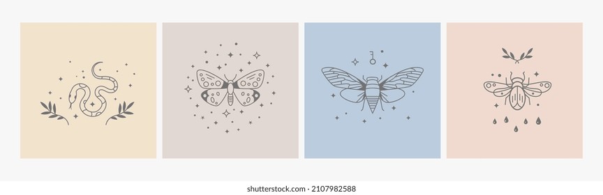Boho logo design  Geometry line insects  mystic symbols and stars  Magic delicate style icons  bohemian prints  Nature snake  beetle  butterfly  decorative vector design