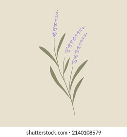 Logo de la rama de lavanda minimalista Boho o ilustración vectorial de etiqueta