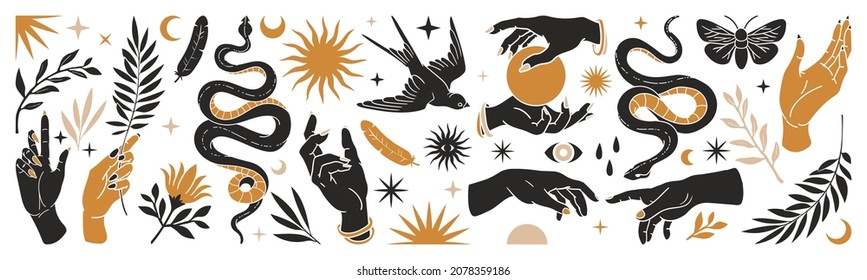 Boho mystical set of vector hand drawn illustrations, stickers. Hands, snakes, moon, sun, magic ball, bird, feather, moth and floral elements in trendy bohemian occult style. Black and gold colors.