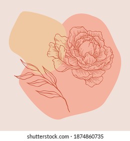 Boho peony isolated vector illustration for wall art, print, poster, social media banner 