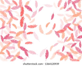 Boho pink flamingo feathers vector background. Angel wing plumage concept 