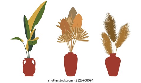 Boho plants in pots. Isolated objects of plants. clip-art