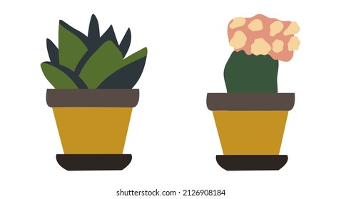 Boho plants in pots. Isolated objects of plants. clip-art