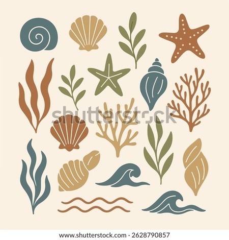 Boho sea clipart set with shells, corals, seaweed, and waves. Perfect for summer designs, invitations, sublimation, packaging, and scrapbooking. 