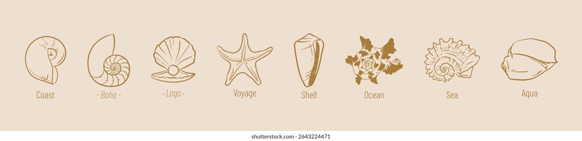 Boho sea shell logo collection. Hand drawn line illustration pastel color for print, menu. Summer beach ink doodle elements. Vector coastal marine icons. Clam, conch, cockle, scallop shells, seahorse.