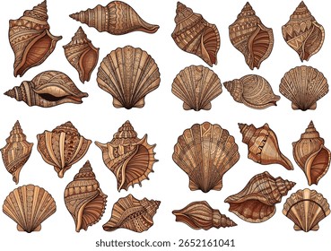Boho Seashells Collection. Hand-drawn set of decorative conch and scallop shells with intricate ethnic patterns, isolated for summer and nautical design.