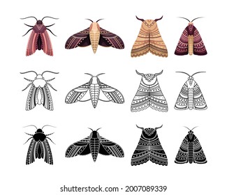 Boho set of moths with geometrical patterns. Outline, flat and simple style.