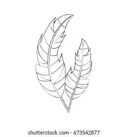 Boho style decorative feathers