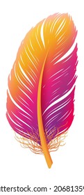 Boho style feather. Colorful gypsy plumage element