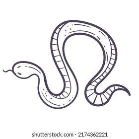 Boho Style Ornamental Magical Witchy Spiritual Snake Line Art Design Element. Vector Flat Graphic Design Illustration