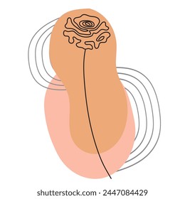 Boho stylized hand drawn rose flower. Element for logo, business card, booklet