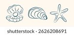 Boho summer shells. Hand drawn seashells, marine icon for poster, banner, design italian menu. Flat summer beach background. Vintage tropical retro surf club. Minimalist isolated vector illustration.
