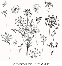 Boho vector set hand drawn flowers.  Black linear shapes. For you design, tattoo or magic craft 