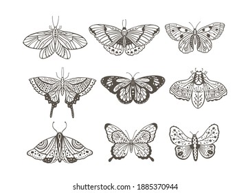 Boho vintage vector art design with bohemian butterfly. Isolated insect icon set in simple style, hand drawn illustration ornate collection, black on a white background.