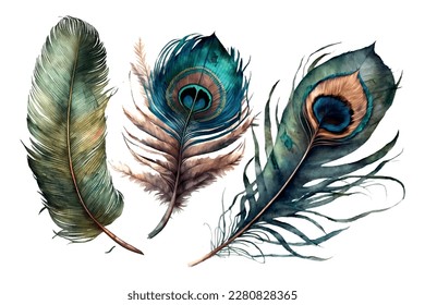 Boho watercolor pen peacock feathers decoration color