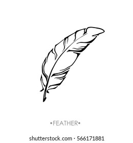 Boho-chic feather hand drawn effect vector style illustration. Vector illustration of boho feather. Boho indian feathers. Feathers for totoos, posters, invitations