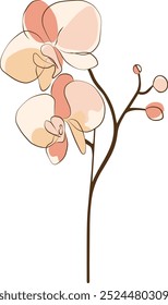 Una ilustración floral de inspiración boho con flores minimalistas de tonos terrosos con detalles delicados y abstractos. Esta obra de arte encarna una estética moderna y natural, perfecta para la decoración del hogar, papelería.