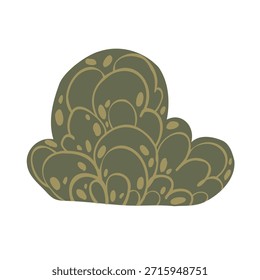 Una colección botánica de estilo boho con árboles y arbustos estilizados, Ilustraciones vectoriales dibujadas a mano. Elementos florales escandinavos minimalistas, aislados en un fondo blanco, para la decoración de la habitación de los niños