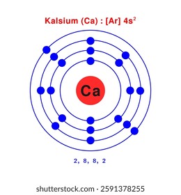 Bohr model of the Calcium atom. electron structure of Calcium