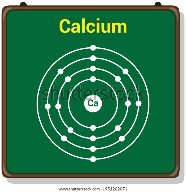 Bohr Model Calcium Atom Electron Structure เวกเตอร์สต็อก ปลอดค่าลิขสิทธิ์ 1951262071 5579