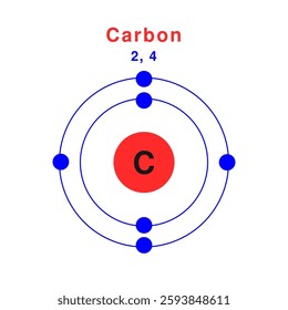 Bohr model of the Carbon atom. electron structure of Carbon