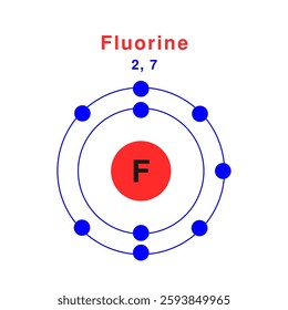 Bohr model of the Fluorine atom. electron structure of Fluorine