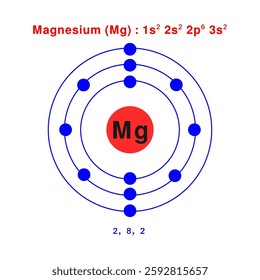 Bohr model of the magnesium atom. electron structure of Litium Magnesium