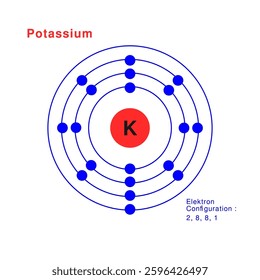 Bohr model of the Potassium atom. electron structure of Potassium