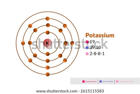 Bohr model of the Potassium atom. Electron structure of Potassium.