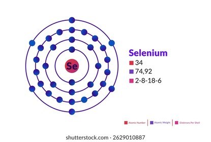 Bohr model of the Selenium atom. Electron structure of Selenium.