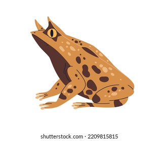 Boie's Frosch. Horned Amphibien. Spotted Boies frogy, exotische Reptilienarten. Proceratophrys boiei, wildes Tier. Realistische flache Vektorgrafik einzeln auf weißem Hintergrund