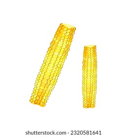 boiled corn on a white isolated background