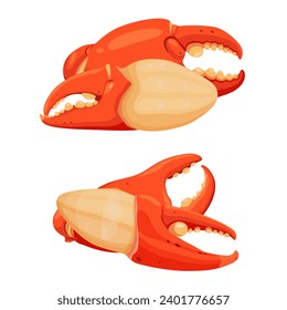 Boiled crab claws, crab meat with crab meat isolated on white background. Vector eps 10. perfect for wallpaper or design elements