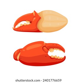 Boiled crab claws, crab meat with crab meat isolated on white background. Vector eps 10. perfect for wallpaper or design elements