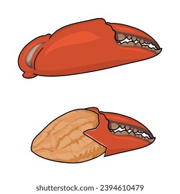 Calzas de cangrejo hervidas con carne de cangrejo y caparazón de garras aisladas sobre fondo blanco