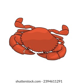 Boiled crab isolated on white background