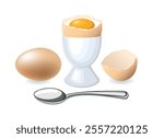 Boiled egg in eggcup icon set vector isolated on a white background. Egg in egg cup holder and spoon vector illustration. Breakfast set with eggs drawing